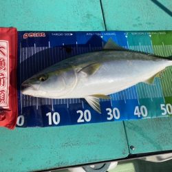 ヒラメ55センチハマチ70センチ