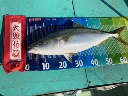 ヒラメ55センチハマチ70センチ