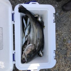 久しぶりに楽しい釣行