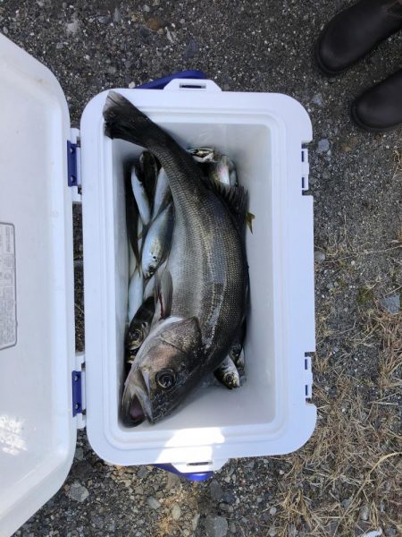 久しぶりに楽しい釣行