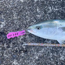 お昼3時でも釣れた〜