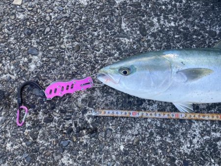 お昼3時でも釣れた〜