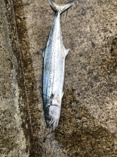 まだまだ続いてました！