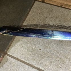 まだタチウオ釣れます！