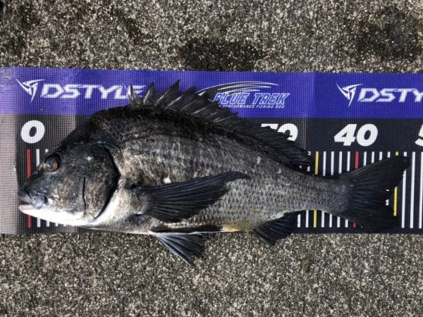 イチノ兄弟、釣果！