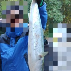 何やら青物連れた!?