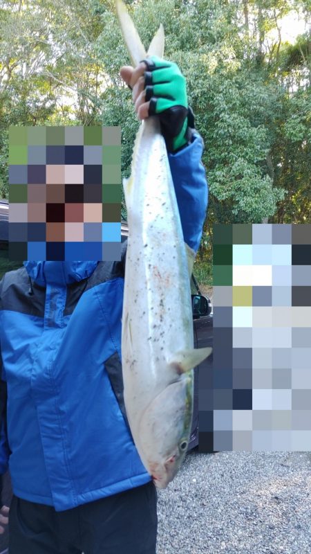 何やら青物連れた!?