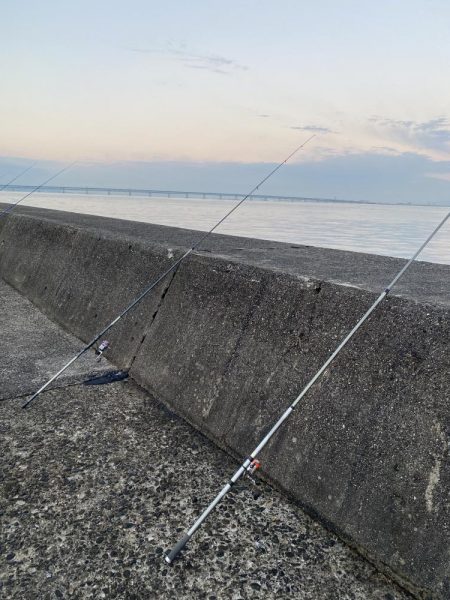 大型カレイ来た〜