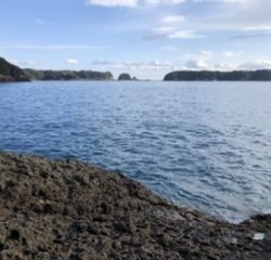 フカセ釣りの合間に