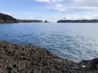 フカセ釣りの合間に