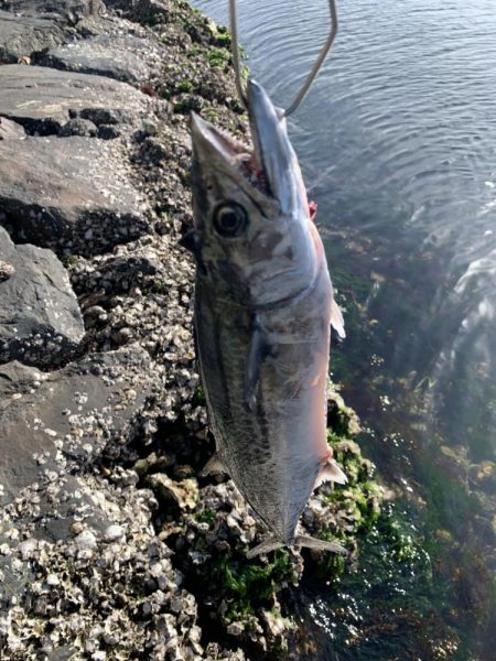 西京焼にしようっと♪