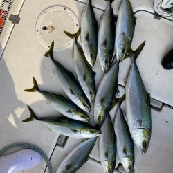 オフショアジギング