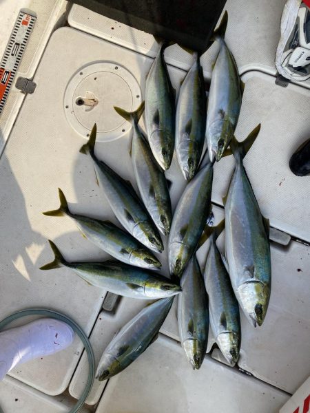 オフショアジギング