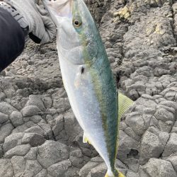 超久々&釣り納め