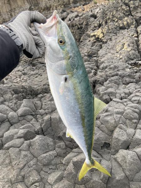 超久々&釣り納め