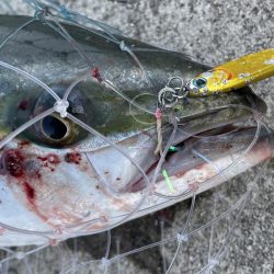 ホーム最終戦‼️