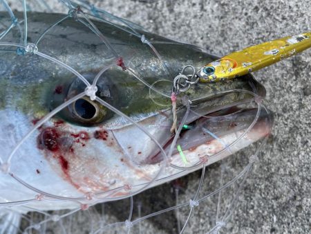 ホーム最終戦‼️…