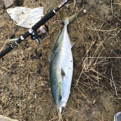 セットアッパー