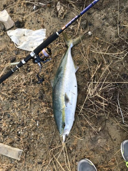 セットアッパー