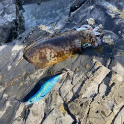 令和三年釣り納め 爆風の中、釣れてよかったー