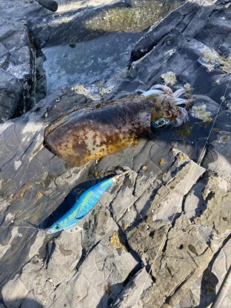 令和三年釣り納め 爆風の中、釣れてよかったー