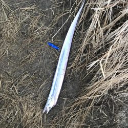 ダイソー改造ジグ