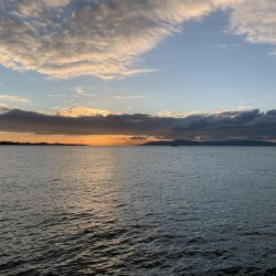 えー!タッチー‼︎