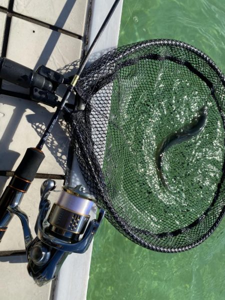 かめプー　トップ激アツ