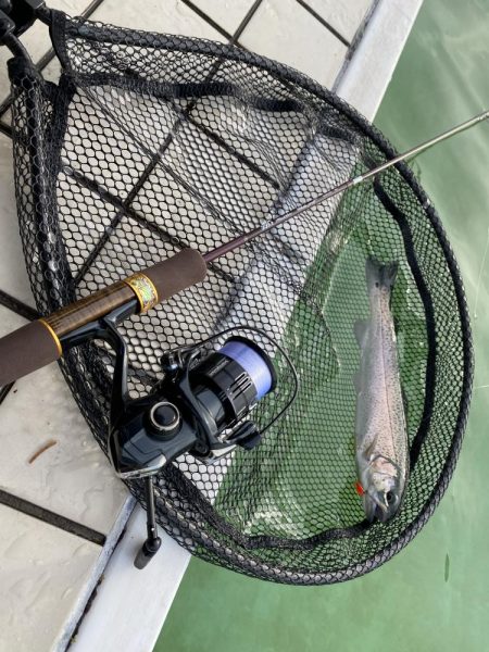 エリアトラウト　京都亀岡