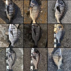 イチノ兄弟、釣果!