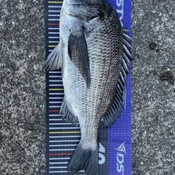 イチノ兄弟、釣果!