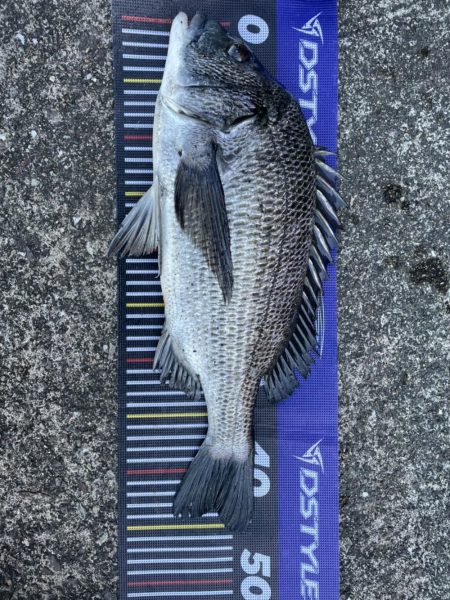 イチノ兄弟、釣果!