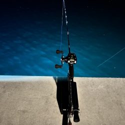 私のヒイカは何処に?