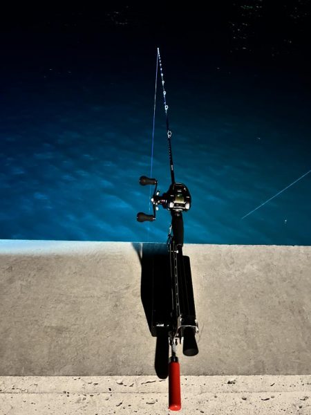 私のヒイカは何処に?