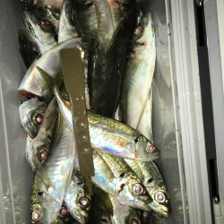 一人ぼっち釣行