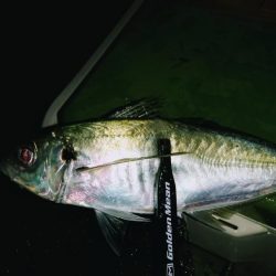 超スローリトリーブ