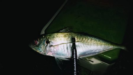 超スローリトリーブ