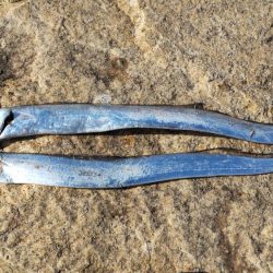 あたり渋い中、、、