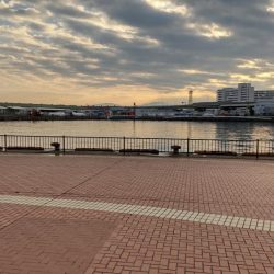 何とか三匹…。