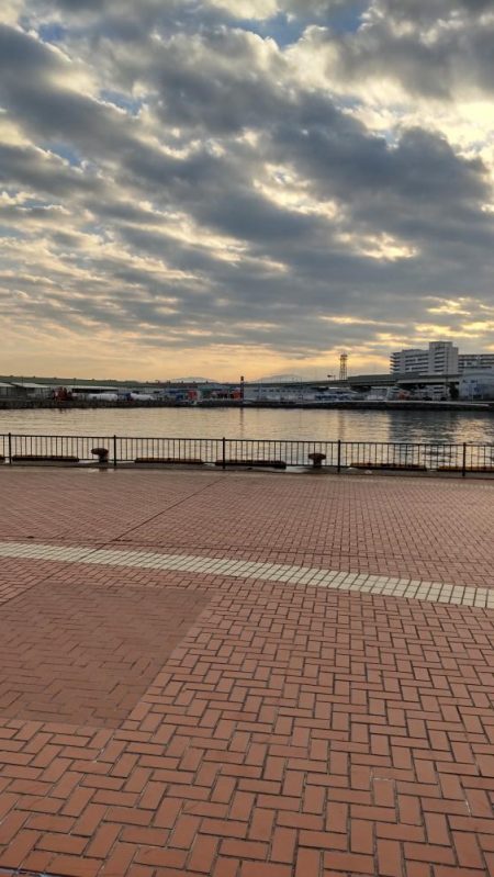 何とか三匹…。