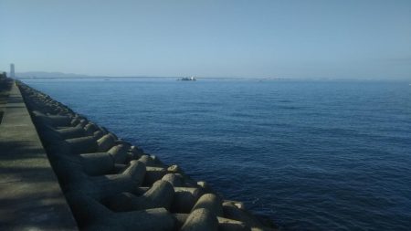 なんとかハマチ