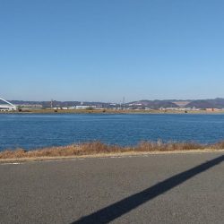 今年の目標だったメッキを釣る事が出来ました？