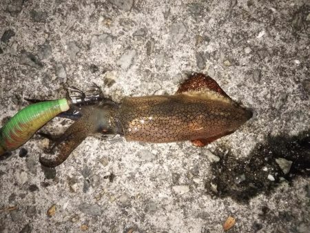 爆風ライトゲーム