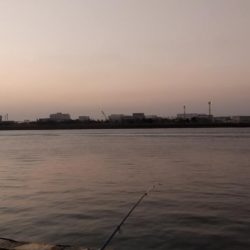 スズキゲット！！