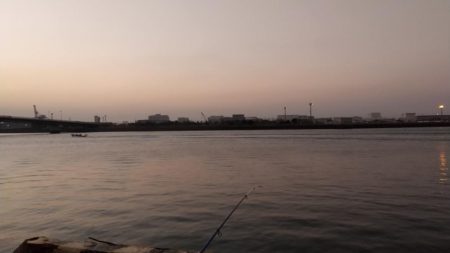 スズキゲット！！