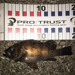 寒波の合間を縫って