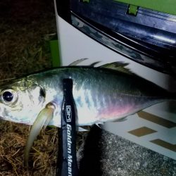 上げ始めのボトムで