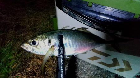 上げ始めのボトムで