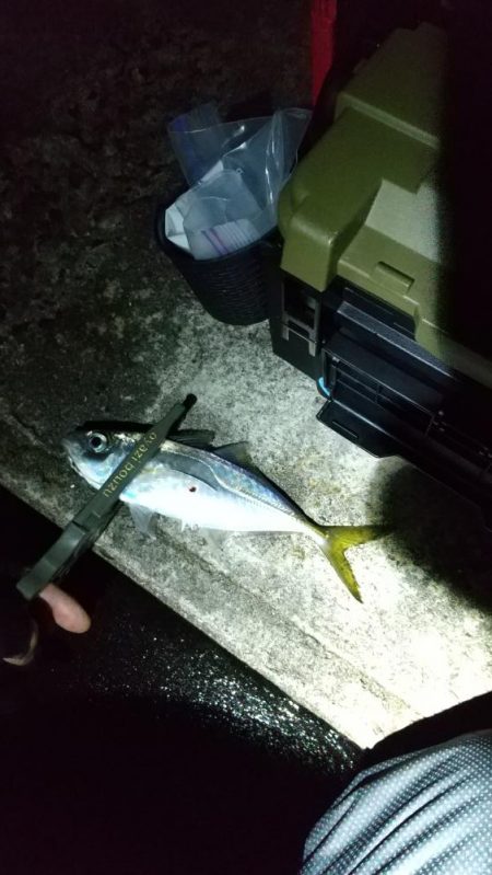 アジ釣り タチウオ釣り