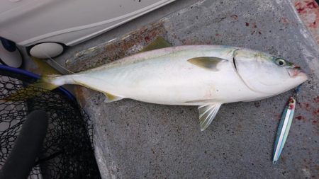 ジギング船内竿頭ゲット